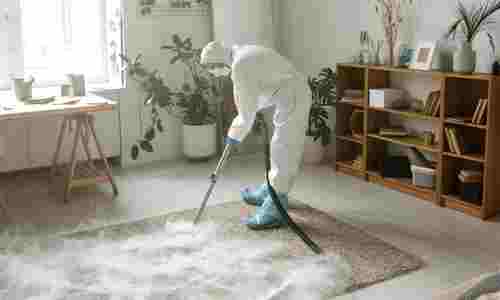 Carpet Cleaning