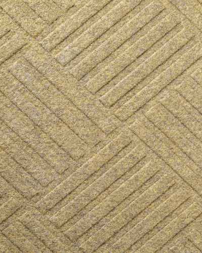 Carpet cleaning after
